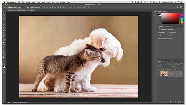 Adobe