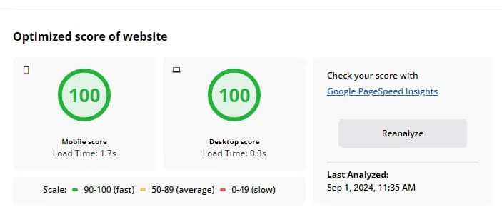 Website Optimization Score