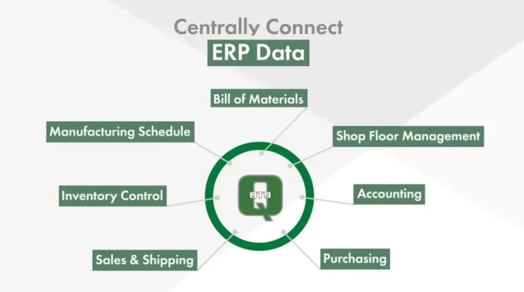 qt9 erp
