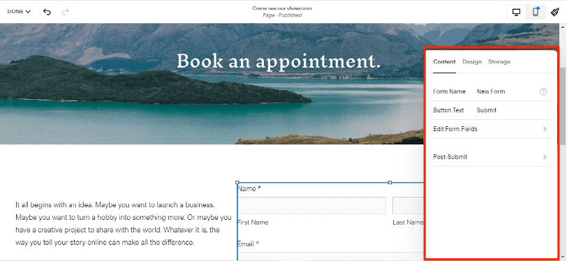 Squarespace-form-customizing-feature