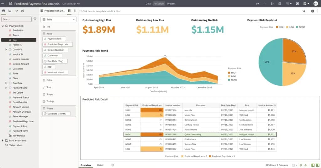 Netsuit Analytics & Reports
