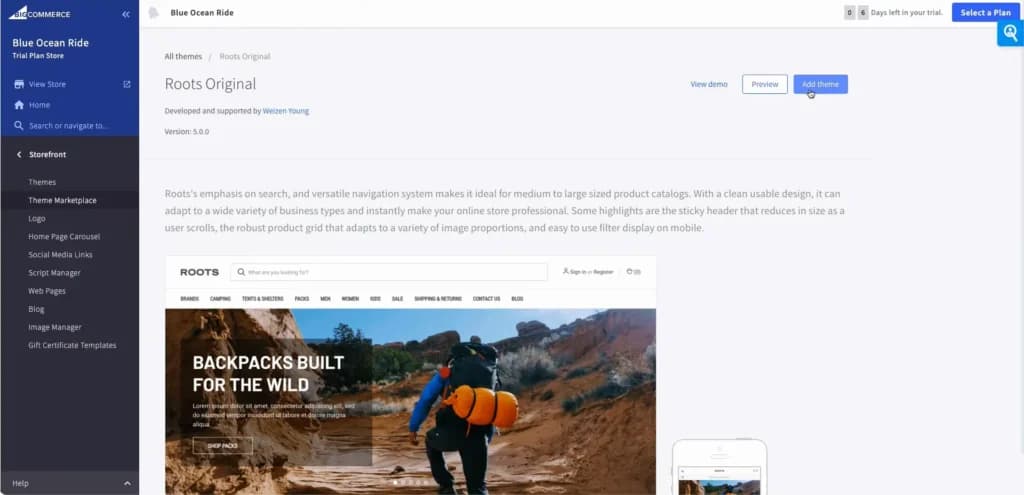 bigcommerce Customised Website