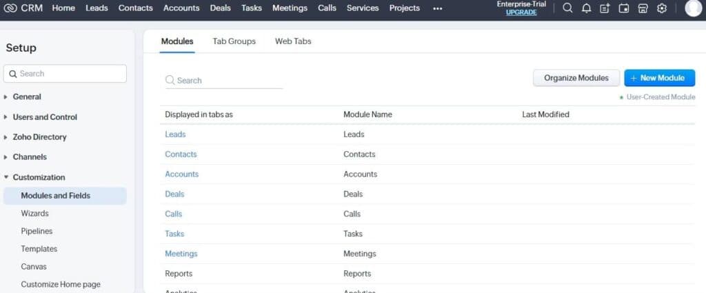 Zoho Customization