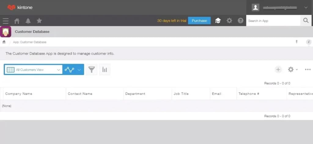 kintone Customer Database