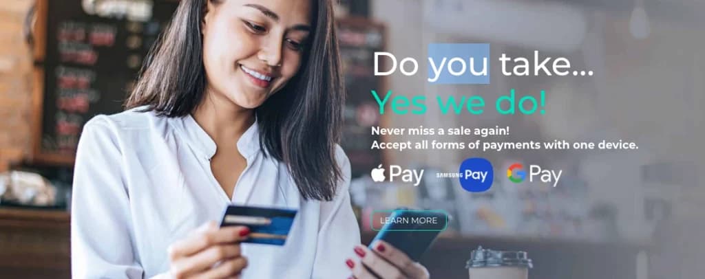 Luminous Payments options