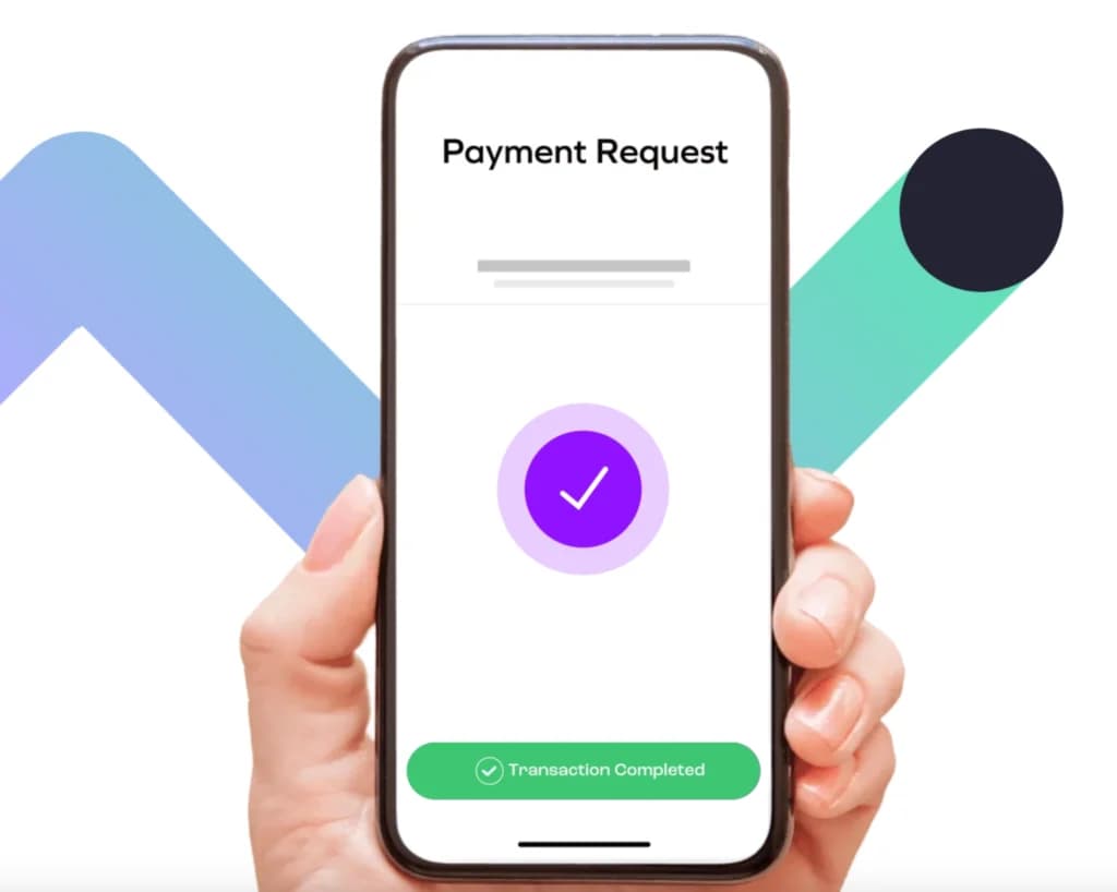 pay.com payment requests