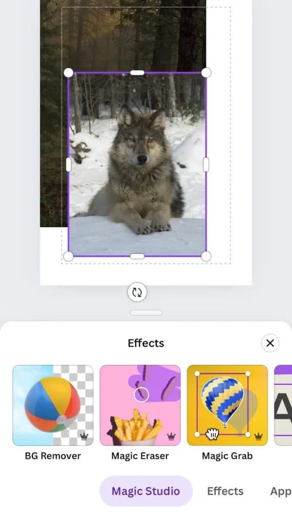 Canva iPhone Magic Eraser