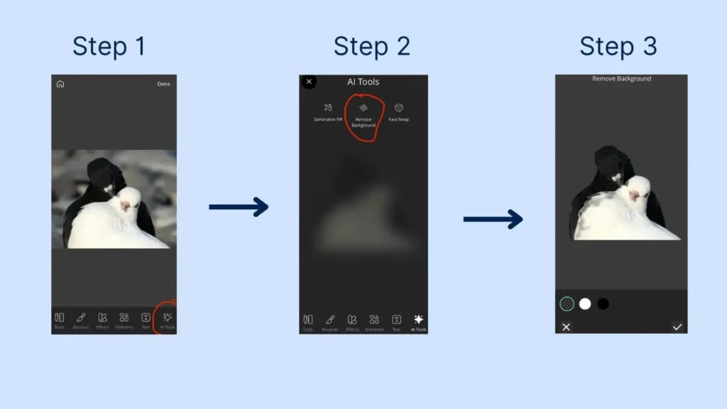 How to remove background from image with Pixlr